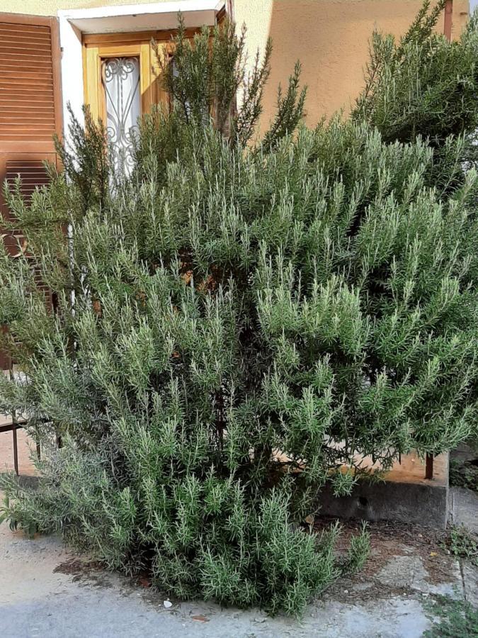 Fresonara  Il Rosmarino 빌라 외부 사진